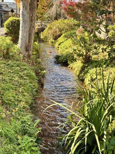 西武線久米川駅から野火止用水に沿って万年橋までのウォーキング