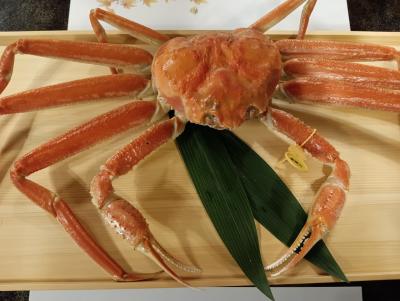 越前かにまつり　紅葉と北陸新幹線と恐竜と紫式部　見どころたくさんの福井