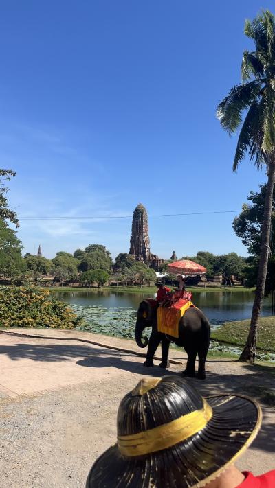 四半世紀ぶりのバンコク！大都会バンコクひとり旅④アユタヤツアーとマッサージ、そして帰国