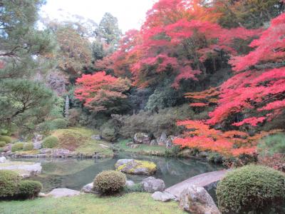 京都・粟田のもみじ　その２
