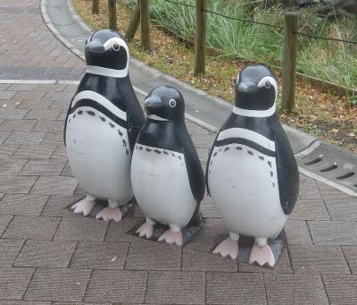 しながわ区民公園を周回 2024.11