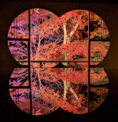 2024年11月 嵐山・紅葉ライトアップ☆宝厳院と祐斎亭