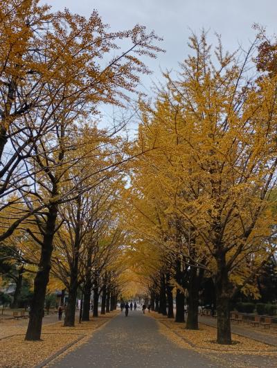 ようこそ練馬ぶらり旅に参加