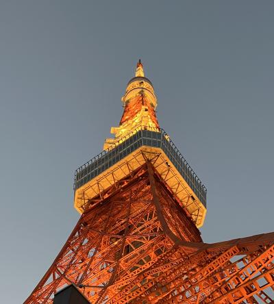 久々の『東京タワー』と増上寺