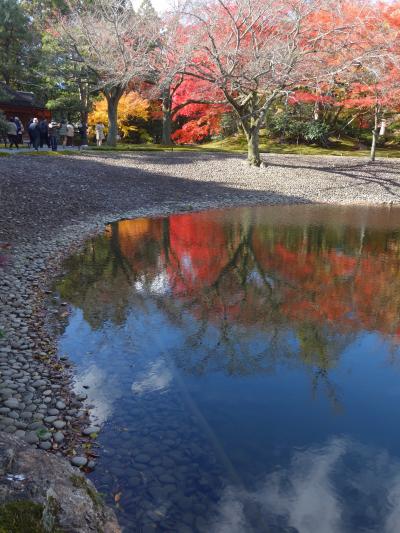 仙洞御所の写真のつづきです。