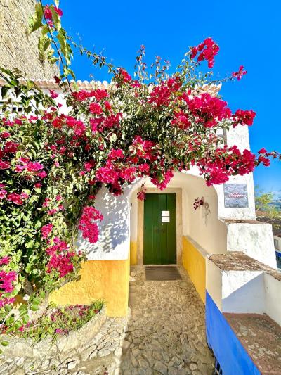 2024年11月　ポルトガル　女1人旅⑤【オドビス】