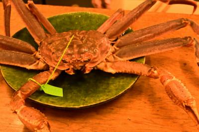 2024年秋・京都　美食とジャンクと十一面観音