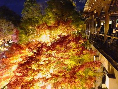 屈指の紅葉人気 東福寺 昼と夜 桜を捨てもみじを選択した寺 12月でも紅葉真っ盛りの京都2