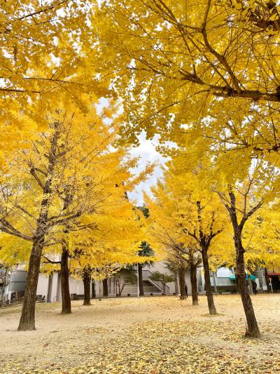 紅葉巡り2024② 恒例!お地蔵さんに会いに行く