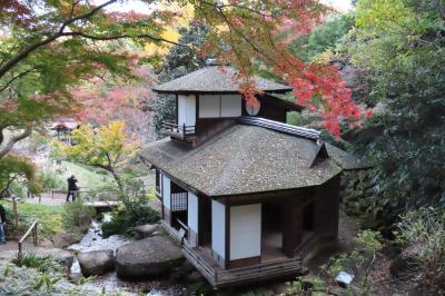 三渓園　紅葉の遊歩道解放　2024年秋