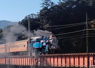 202411☆紅葉の静岡☆シニア女子旅