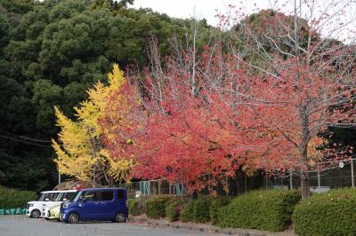 さわやかウォーキング 磐田 (中泉・見附の寺社巡り)JR東海