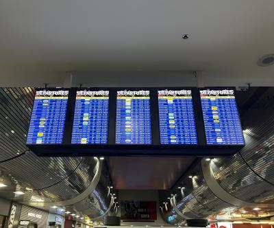 【番外編】ひとり娘ラスベガス珍道中・⑥〈完結〉