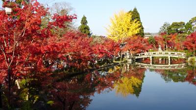 人気があるわけだ永観堂、南禅寺、京都迎賓館　12月でも紅葉真っ盛りの京都３
