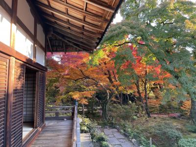 京都めぐり4-1太秦秦氏関係史跡、宝筐院、鹿王院