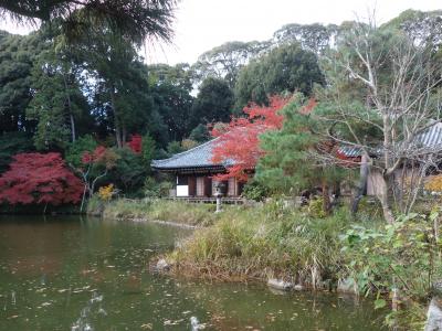 浄瑠璃寺の秘仏吉祥天女にお会いして来ました。美人です。久しぶりです。