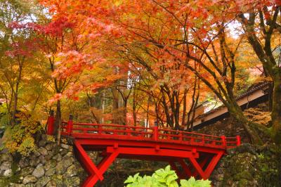 『谷汲山華厳寺』と『両界山横蔵寺』の紅葉