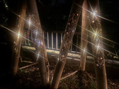 伊東で温泉に入っておしゃべりを楽しむ旅