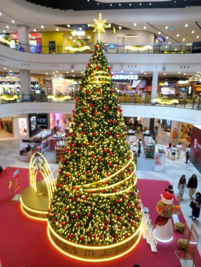 絶品の焼豚！廃駅行ったら海南チキン＠文東記、オーチャードでツリー巡り☆シンガポールXmasの旅2