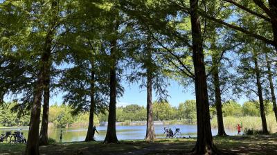 猛暑の夏。癒されたものと息抜きと♪　