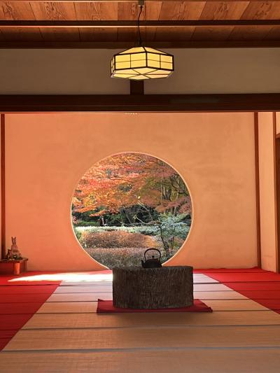 明月院で紅葉狩り
