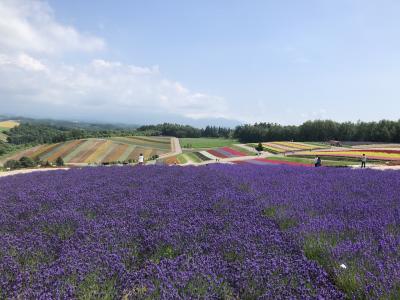 2022年 旭川から富良野 花旅