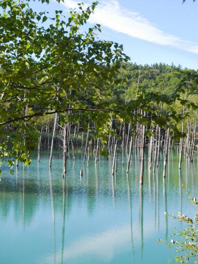 .*・*満点の星に魅せられた2024夏 の北海道旅17泊+青森2泊.*・*⑦