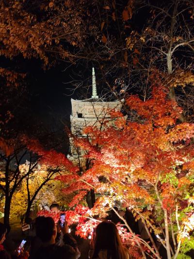 2024年12月　京都4泊5日　ひとり旅　１日目