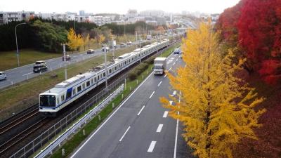 紅葉！--大阪泉北ニュータウン--