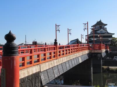 朱塗りの橋がよく似合う清洲城 202212名古屋⑤