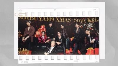 HP3の体力なし虚弱系お嬢様と心配症おもてなしママの推し活参戦報告2024Stray Kids