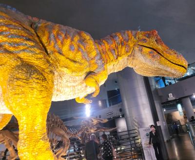 １２月は福井旅行に行きたくて