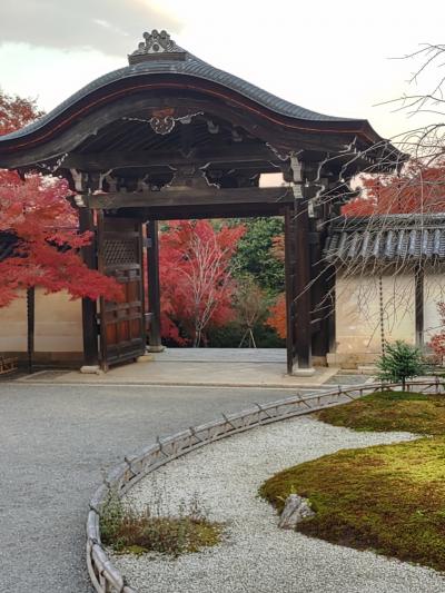 2024 12月　京都　ひとり旅　2日目　桂離宮&#12336;嵐山