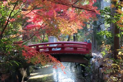 古都鎌倉　紅葉巡り　２０２４（後編）鶴岡八幡宮ー一条恵観山荘ー報国寺ー旧華頂宮邸ー鎌倉