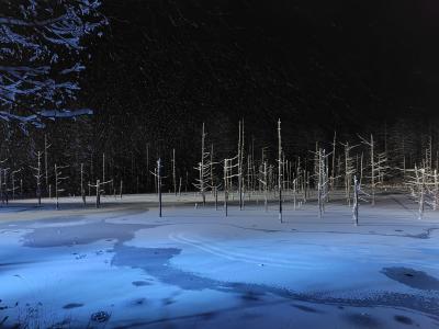 どこかにマイルで再び旭川　2日目