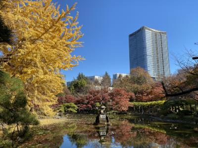 2024年12月　見ごろとなった都心の紅葉　都心各地を散策