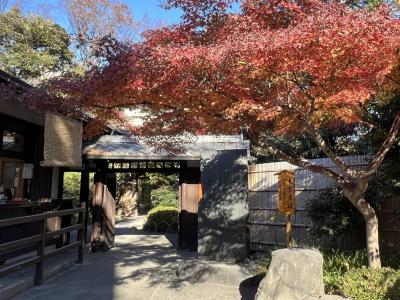 向島百花園で紅葉狩り～白鬚東アパート
