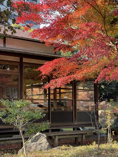 秋の紅葉　小石川後楽園