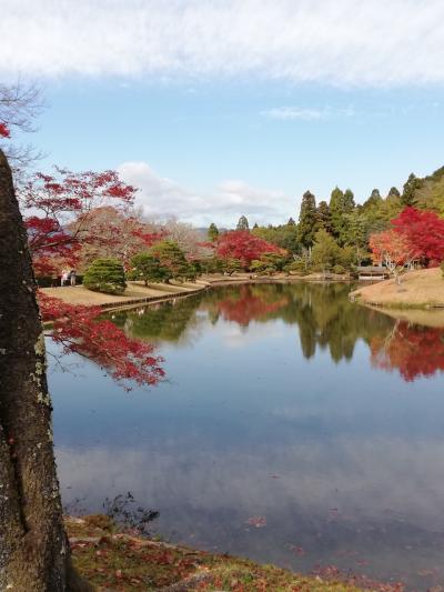 2024 12月　京都ひとり旅　4日目