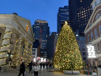 クリスマスツリー グリーン 雪 ケンブリッジ
