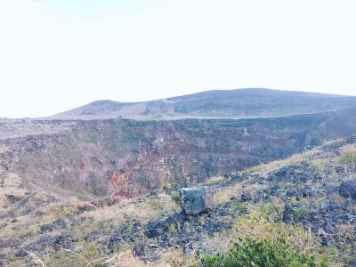 2024.11伊豆大島旅行＜１．自転車で三原山へ＞