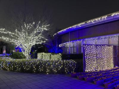 古代蓮の里イルミネーションと行田タワー