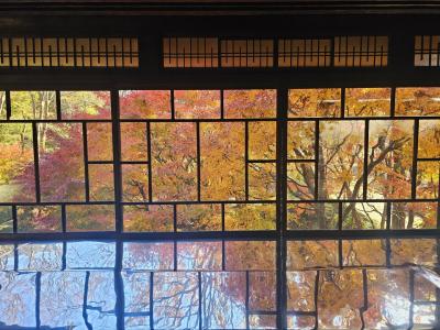 江戸東京たてもの園と秋の小金井公園ライトアップ　その1