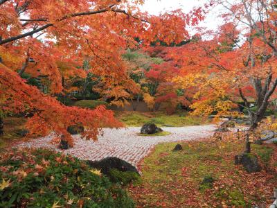 晩秋の宮城旅行その3　松島観光編
