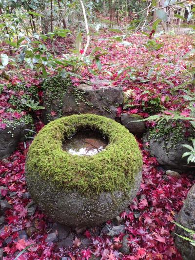 2023 12月　京都日帰り　ぶらり散歩