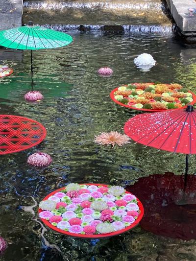 行田市花手水　忍城大水面花2024  今年もきれい
