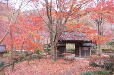 東京・町田～朝食ビュッフェからの薬師池公園＆遺跡めぐり