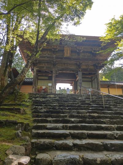 2023 ５月　京都　二人旅