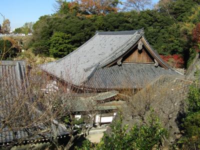 功徳山 天嶽院(藤沢市渡内1)