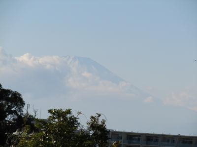 功徳山 天嶽院(藤沢市渡内1)墓地から望む富士山